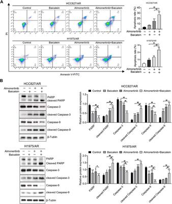 Synergistic antitumor activity of baicalein combined with almonertinib in almonertinib-resistant non-small cell lung cancer cells through the reactive oxygen species-mediated PI3K/Akt pathway